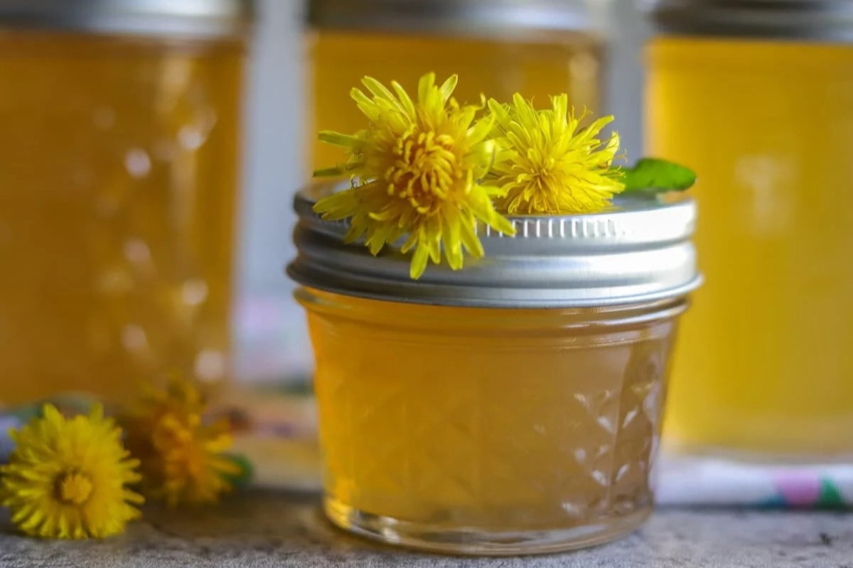 dandelion-jelly-recipe