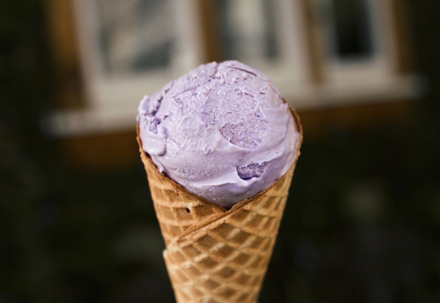 lavender-honey-ice-cream-recipe