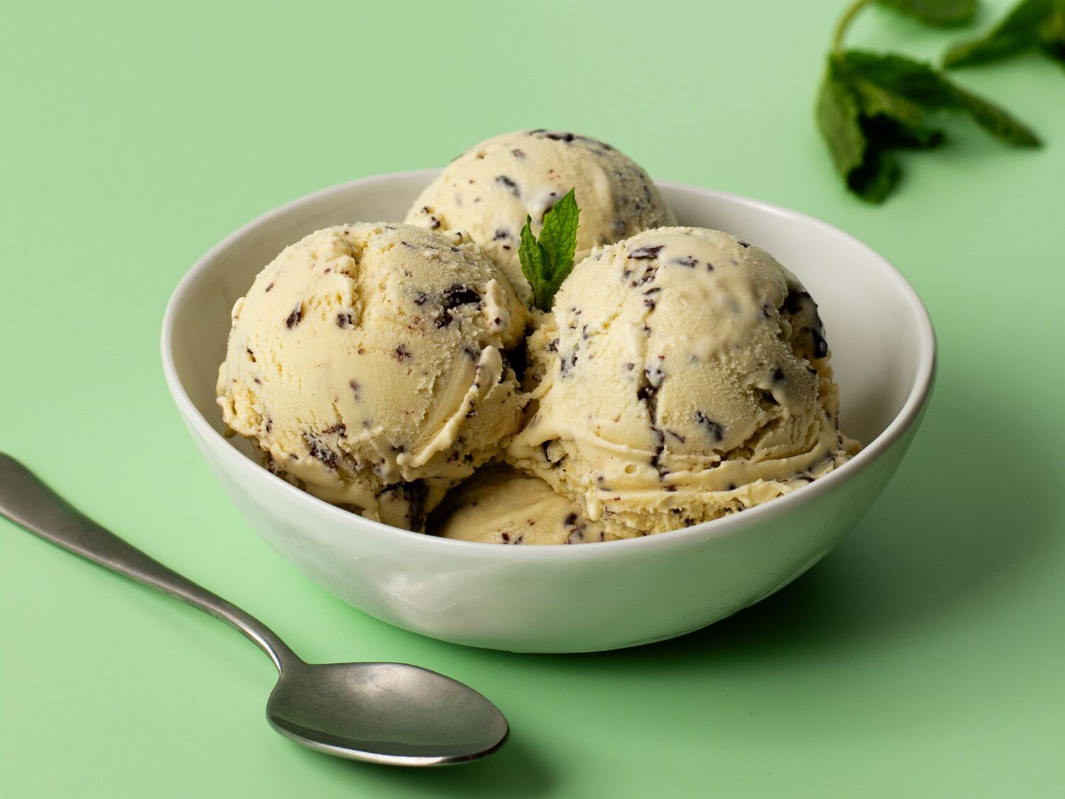 mint-chocolate-chip-ice-cream-recipe