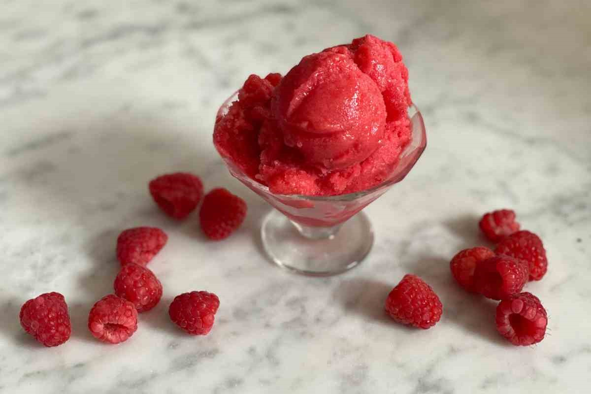 raspberry-sorbet-or-granita-recipe