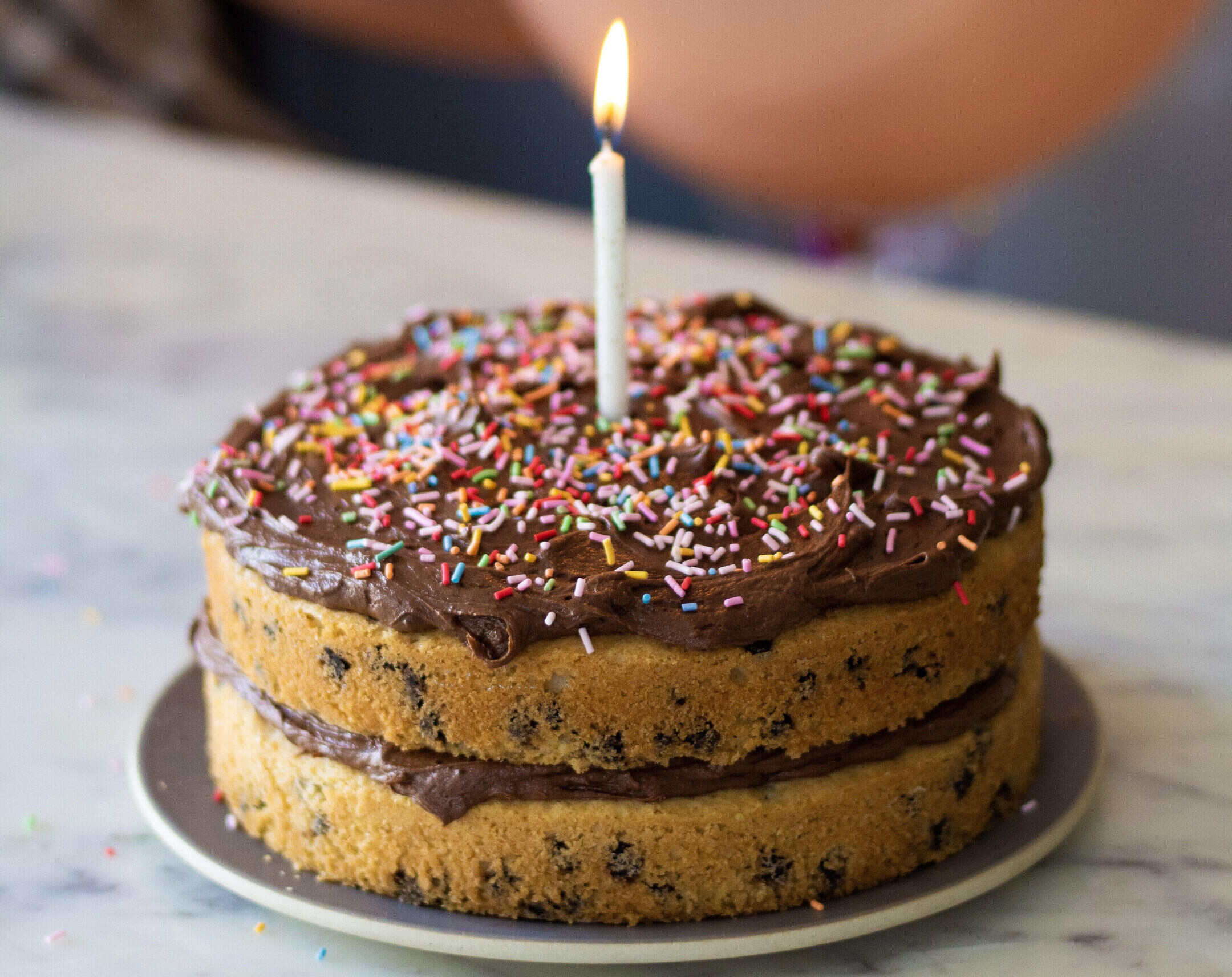 chocolate-chocolate-chip-cake-recipe