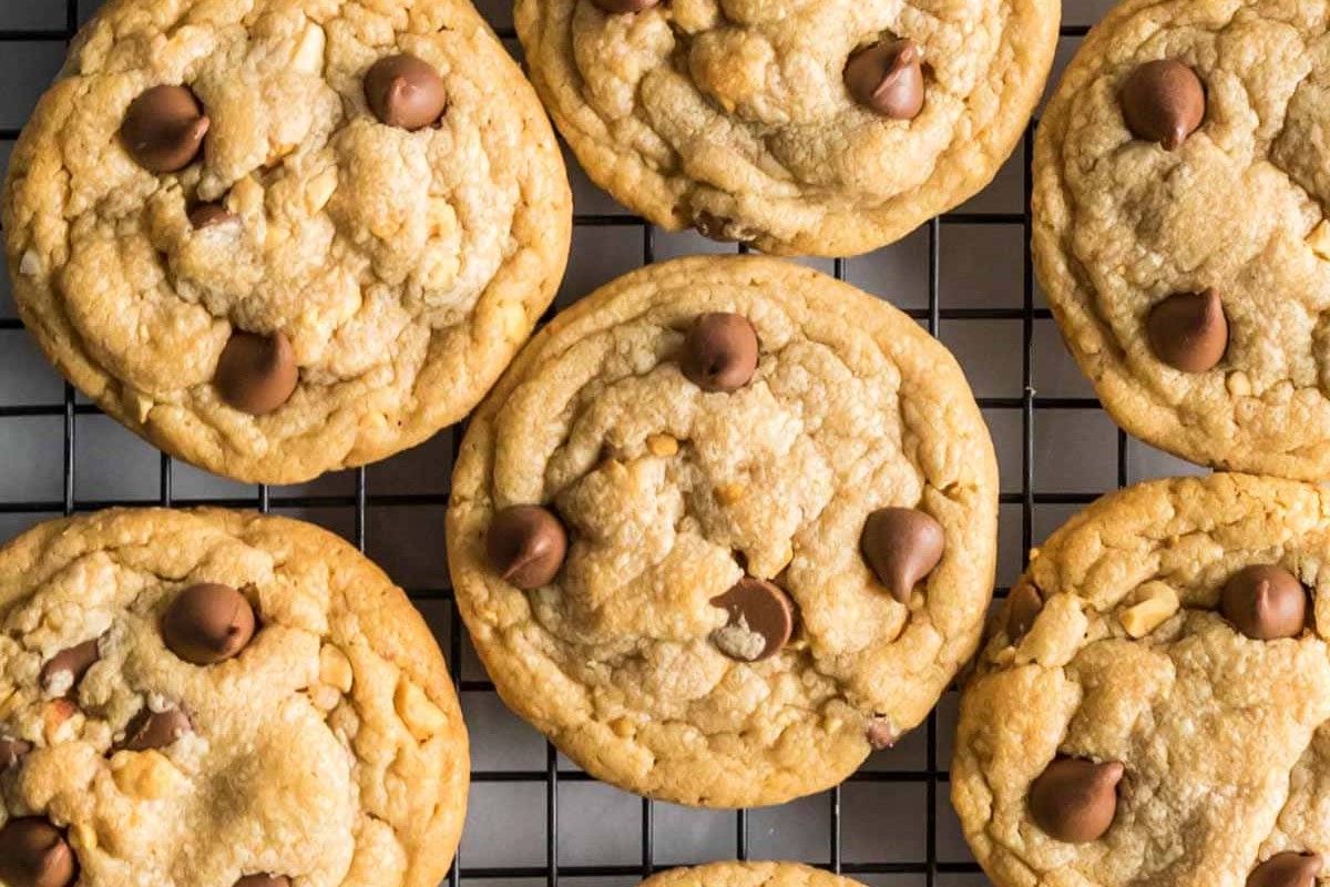 peanut-butter-chip-chocolate-cookies-recipe