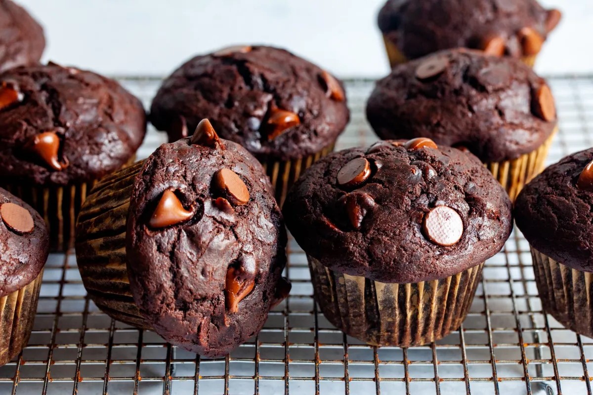 chocolate-muffin-recipe