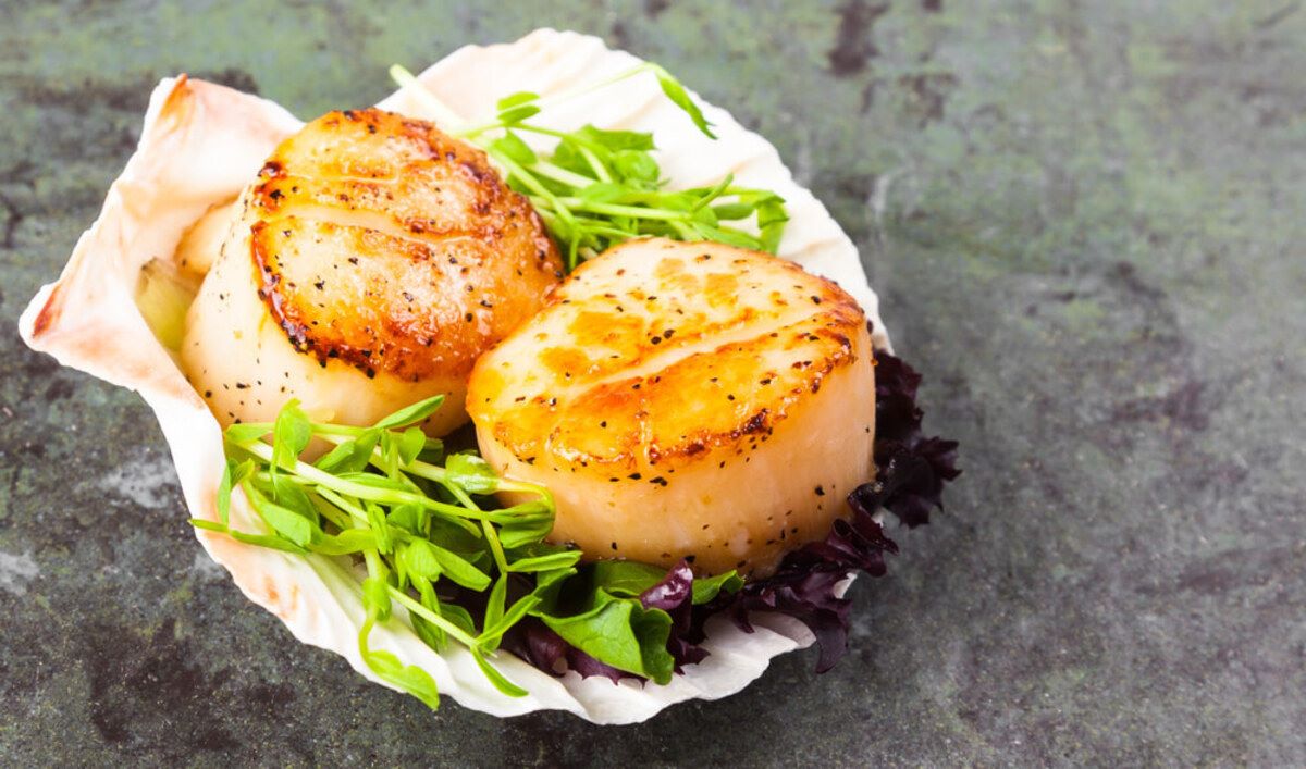 coquilles-saint-jacques-recipe