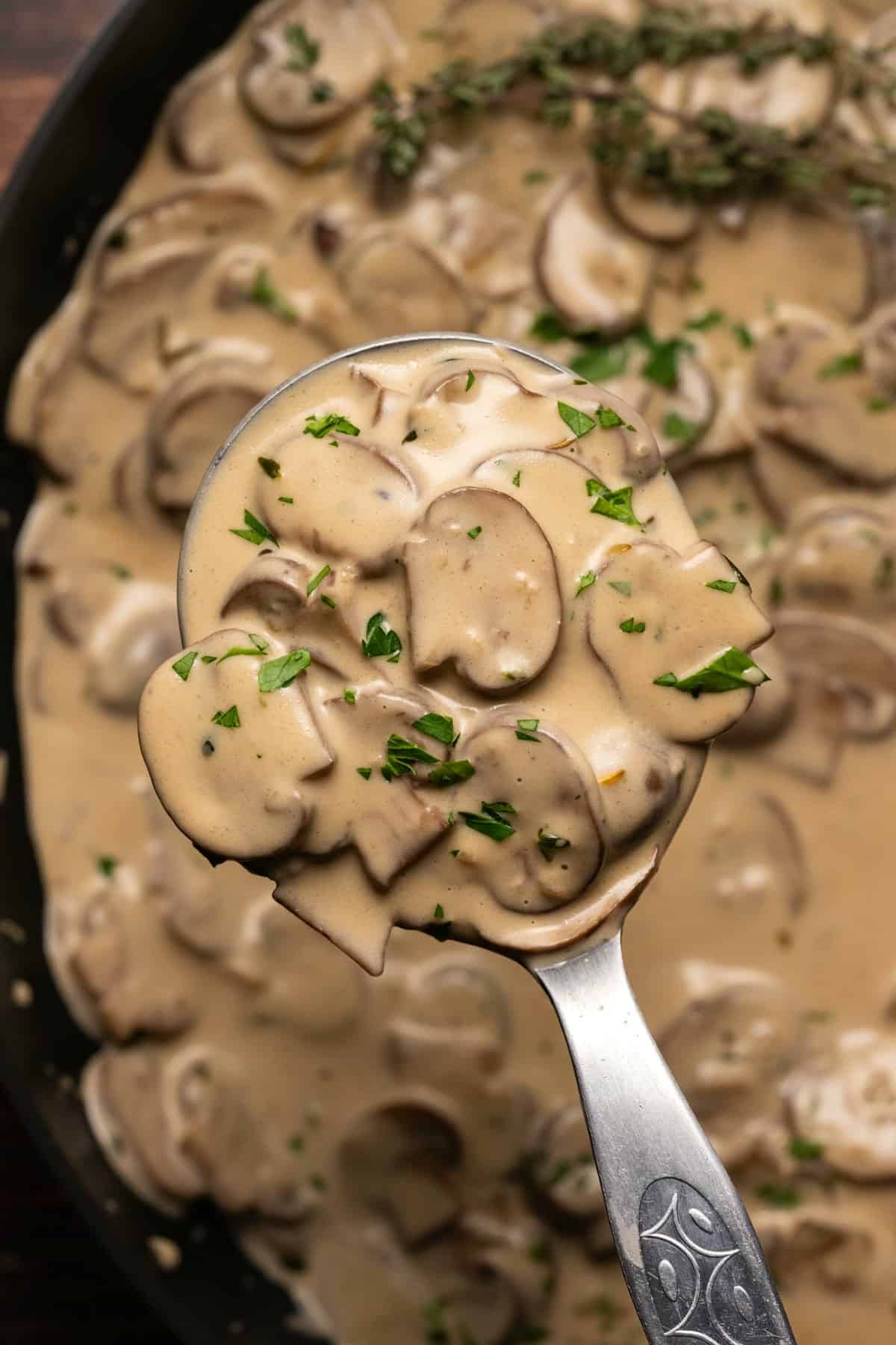 creamy-mushroom-sauce-recipe