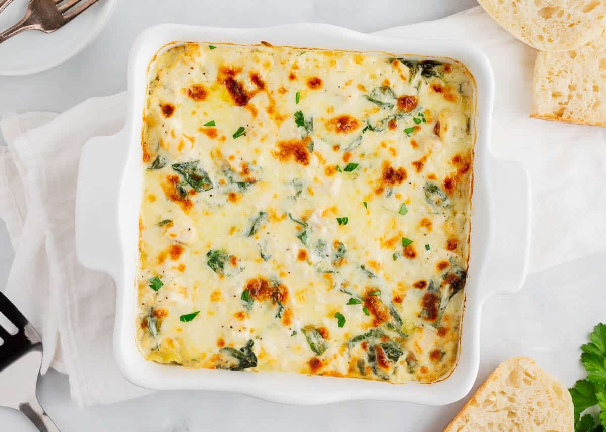 lasagna-alfredo-recipe