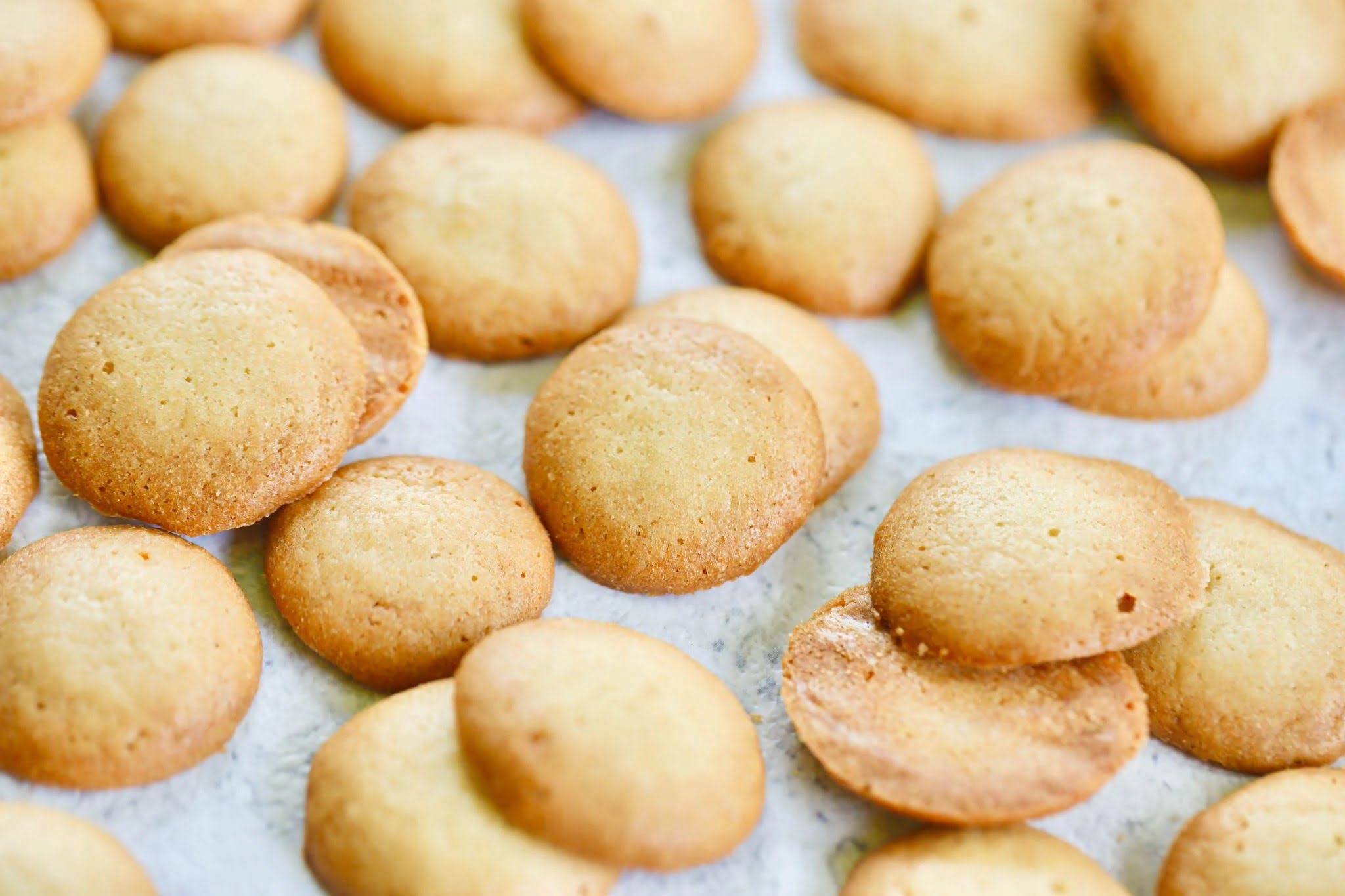 nilla-wafers-recipe