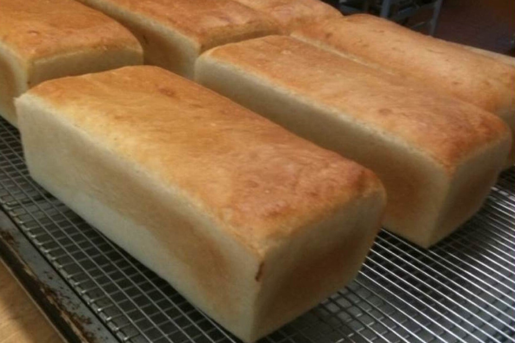 salt-rising-bread-recipe