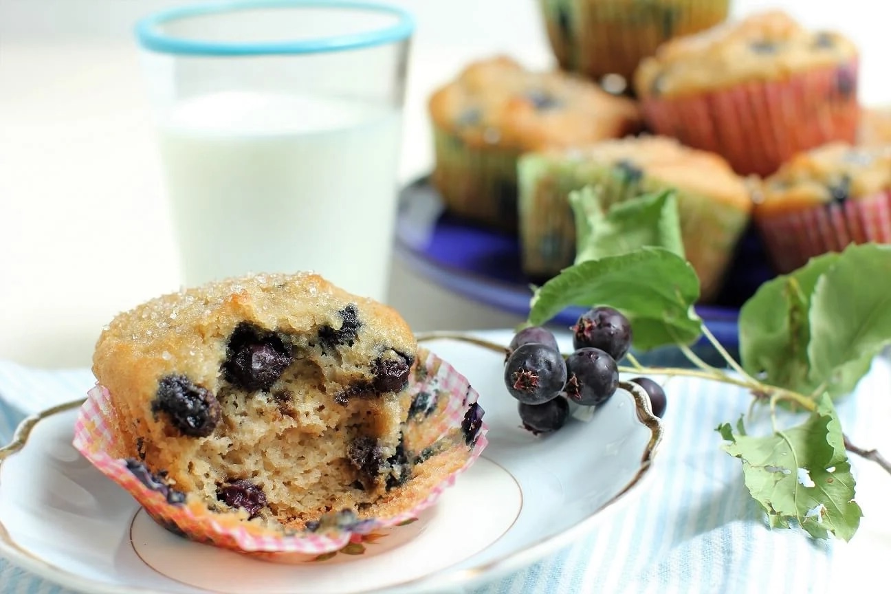 saskatoon-berry-oat-muffins-recipe