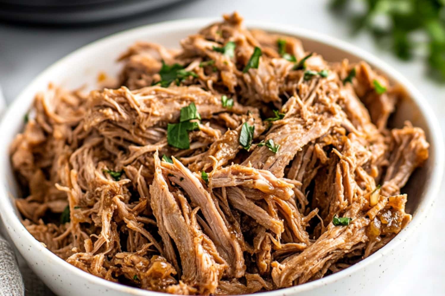 slow-cooker-mojo-pork-recipe