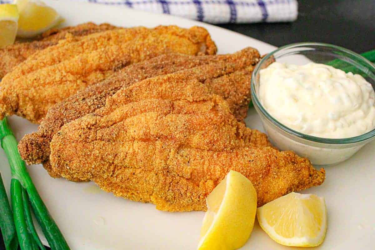 southern-fried-catfish-recipe