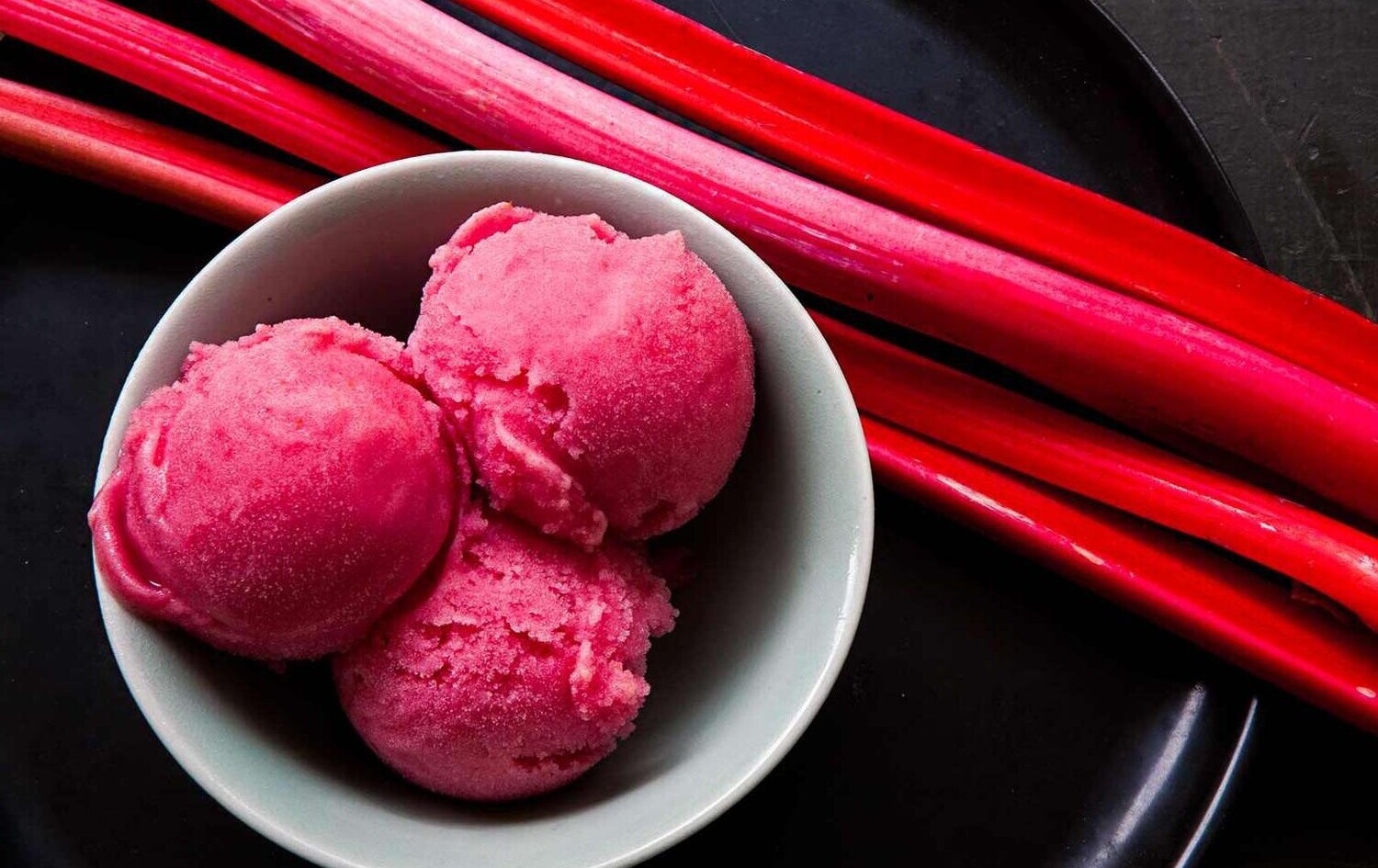 rhubarb-sorbet-recipe